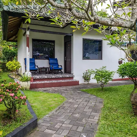 Absolute Scuba Bali Dive Resort