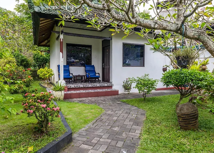 Absolute Scuba Bali Dive