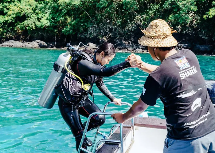 Absolute Scuba Bali Dive
