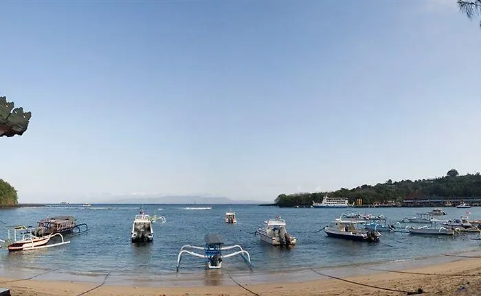 Absolute Scuba Bali Dive